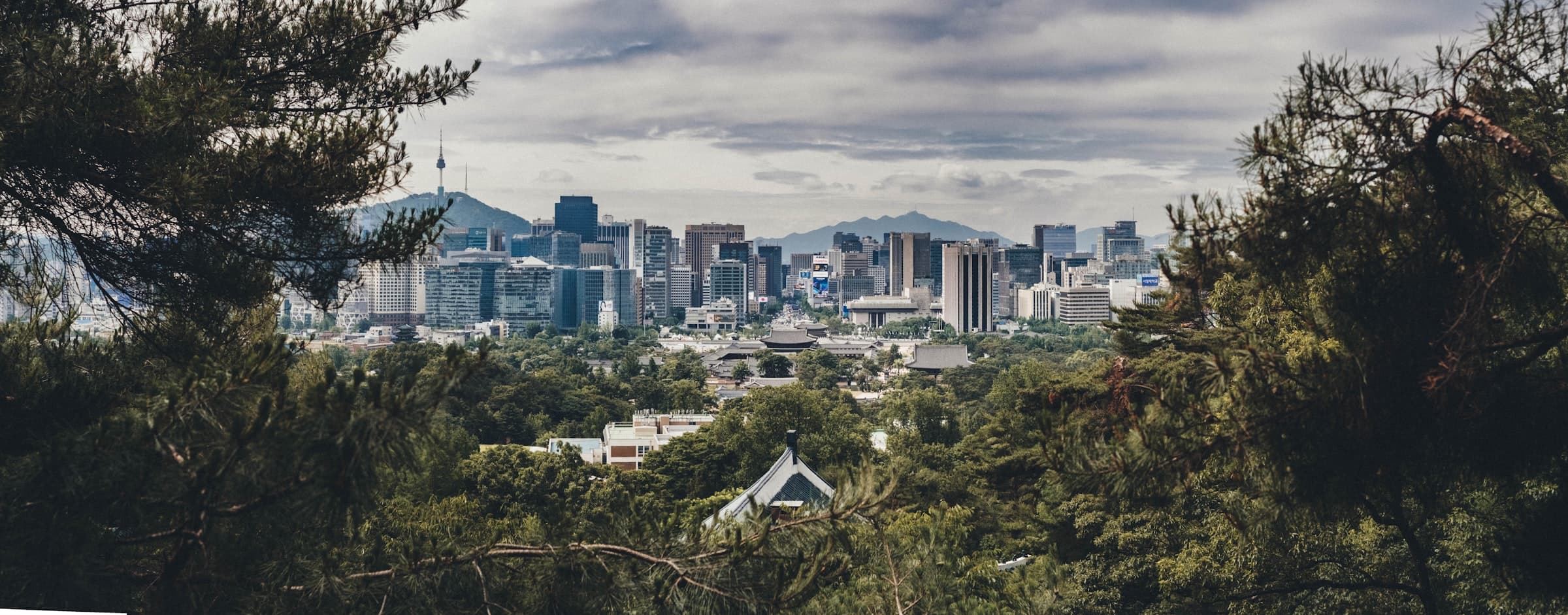 Atlanta skyline framed by tree canopy — the city in a forest